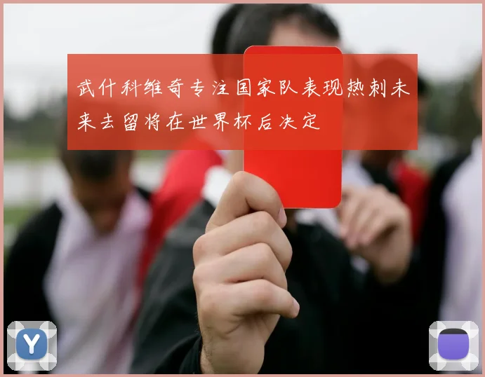武什科维奇专注国家队表现热刺未来去留将在世界杯后决定