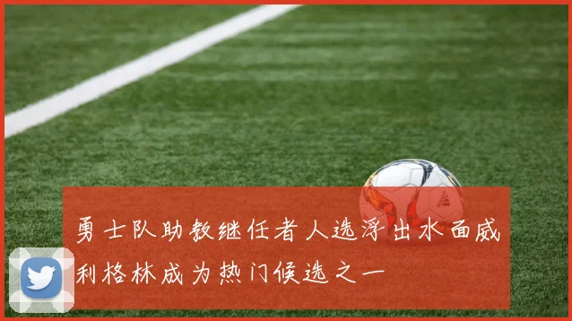 勇士队助教继任者人选浮出水面威利格林成为热门候选之一