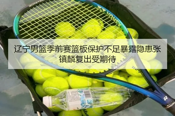 辽宁男篮季前赛篮板保护不足暴露隐患张镇麟复出受期待（milan.com）